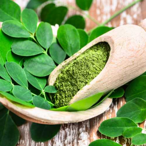 Moringa