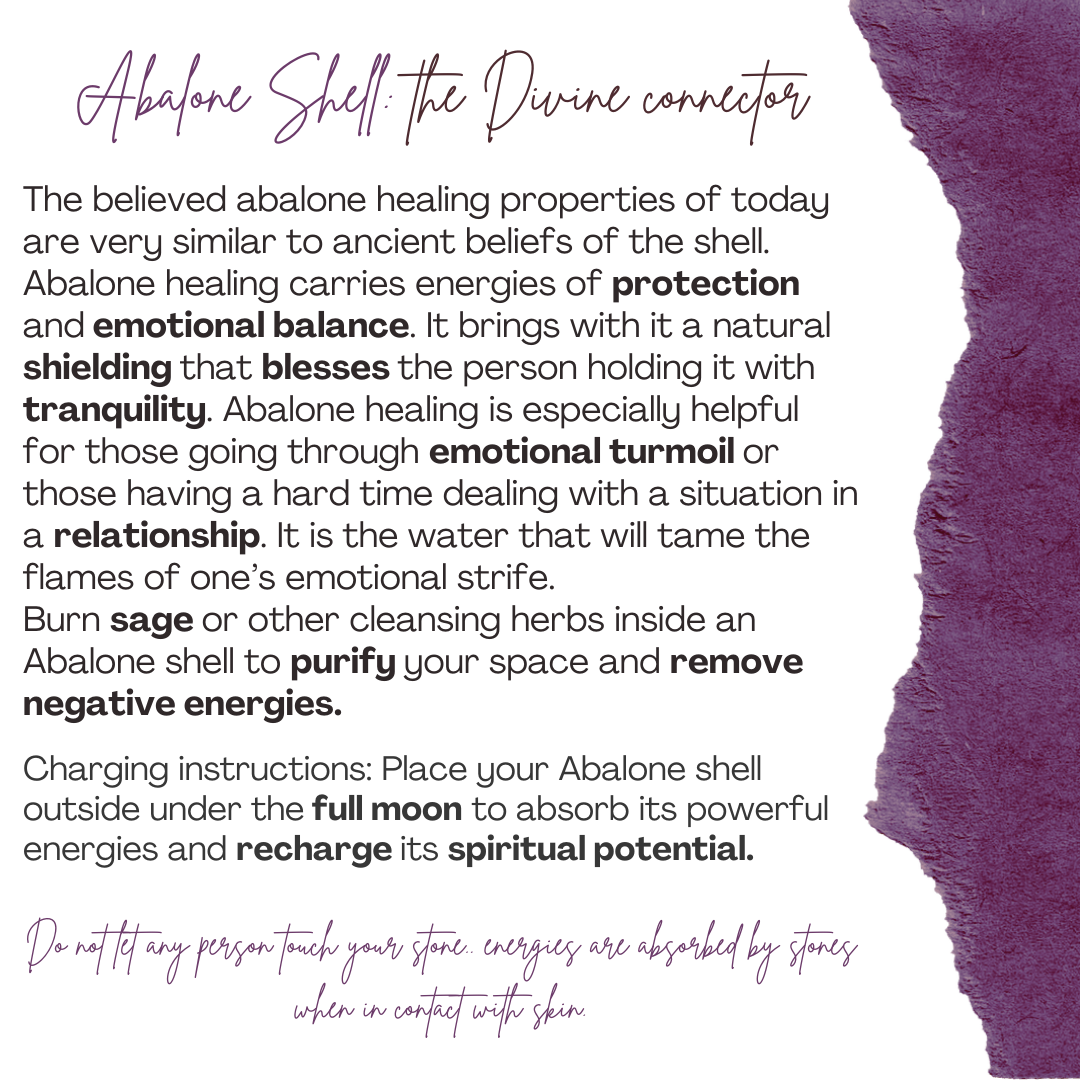 Collier en argent 925 plaqué en or 18 Karats et Abalone Shell (45 cm)