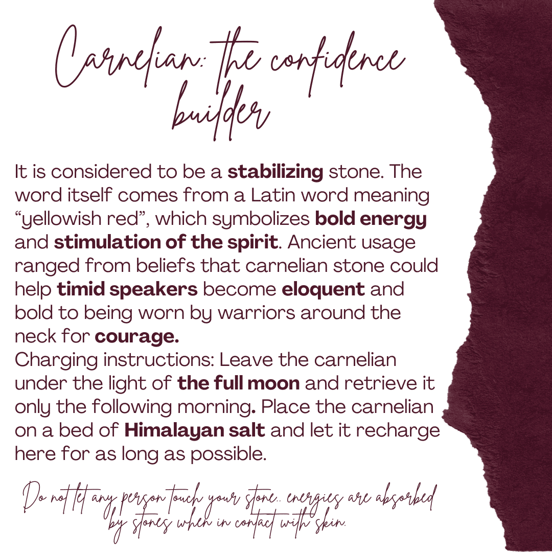 Un lot de deux bracelets en Cornaline (17 à 19 cm)