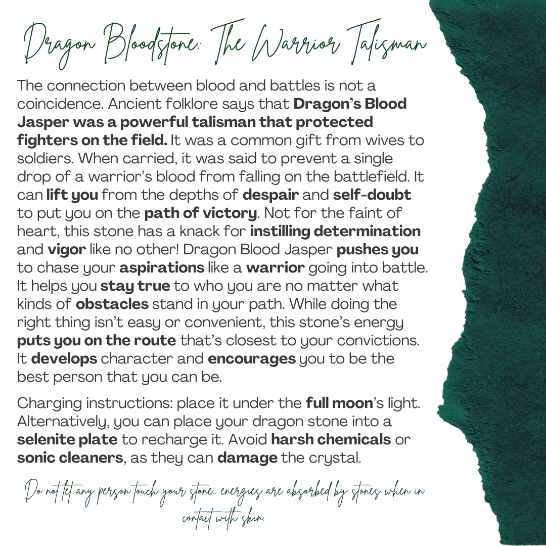 Collier Dragon Bloodstone avec chaine en acier inoxydable (75cm)