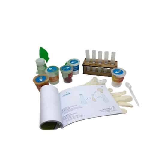 Kit de laboratoire de chimie pour enfants, expériences éducatives sur les réactions acide-base et éruptions volcaniques (+ 6 ans)